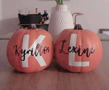 Charger l'image dans la galerie, Citrouille - Pumpkin