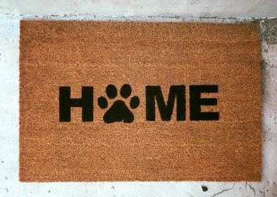 Doormat / Tapis d'entrée